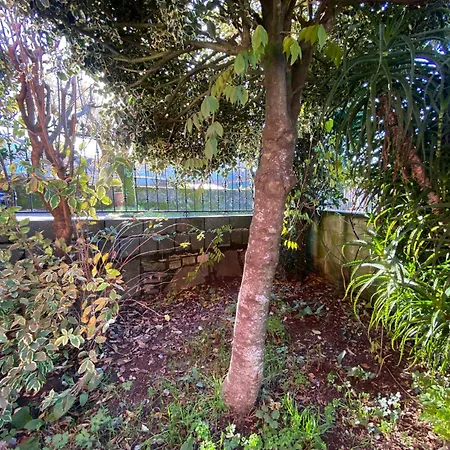 בית נופש Casa Rosina