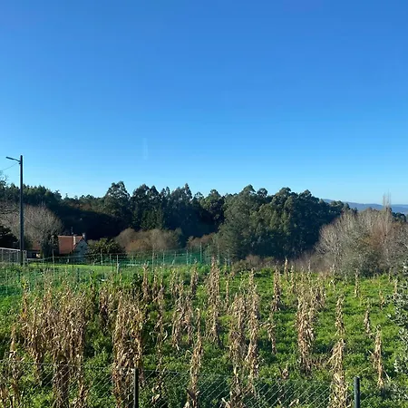 בית נופש Casa Rosina