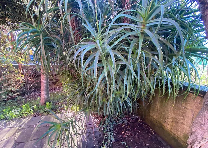 בית נופש Casa Rosina